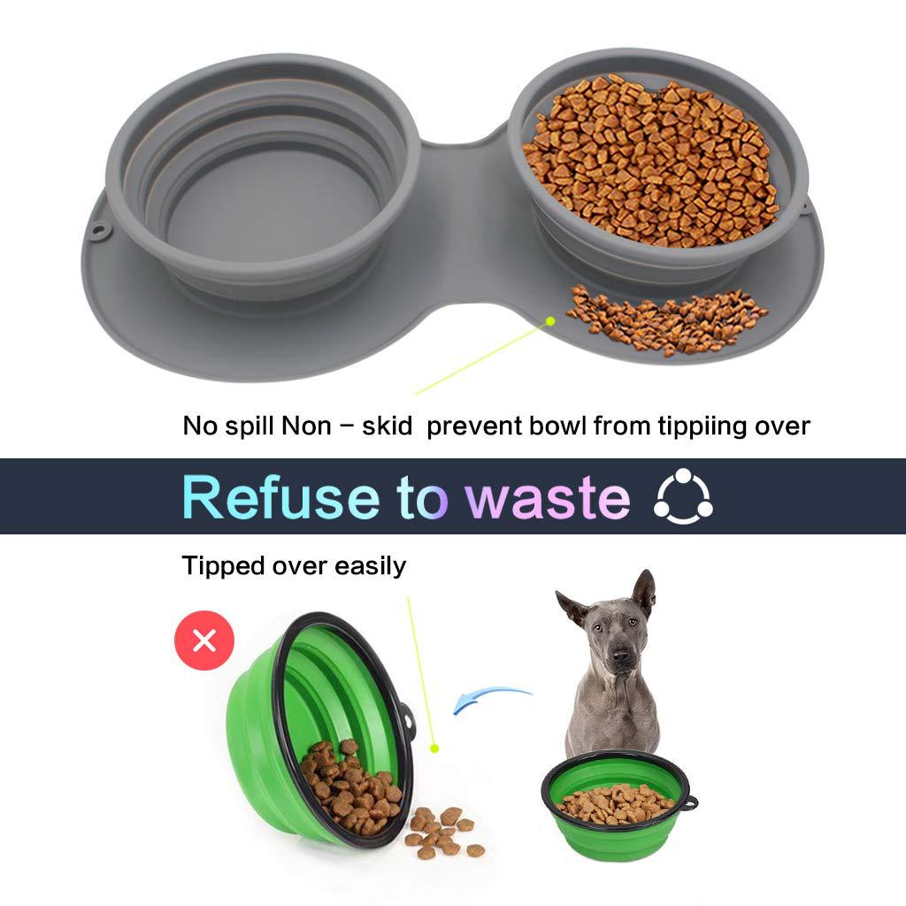 Collapsible Food and Water Bowl