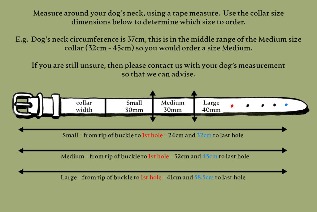 AirTag Dog Collar Premium Leather