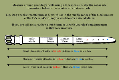 AirTag Dog Collar Premium Leather