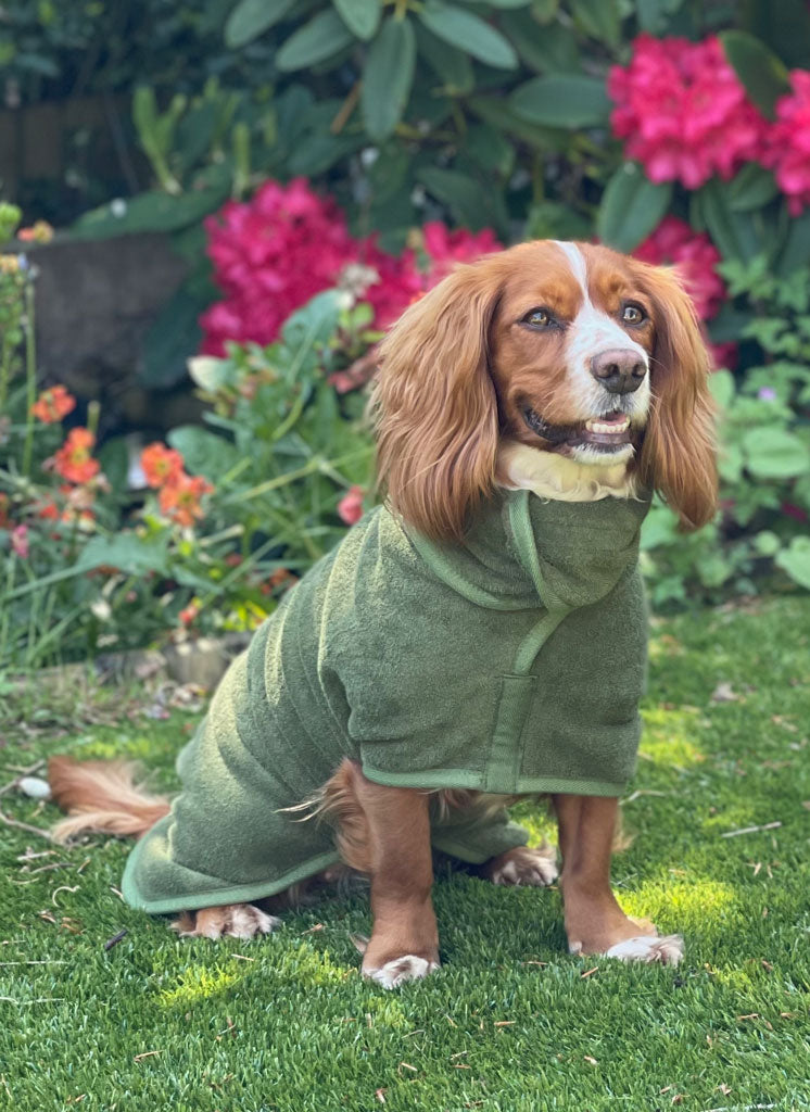 Dog Drying Coat - Olive